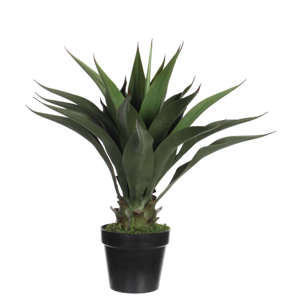 Agave Artificiel En Pot H Cm Truffaut