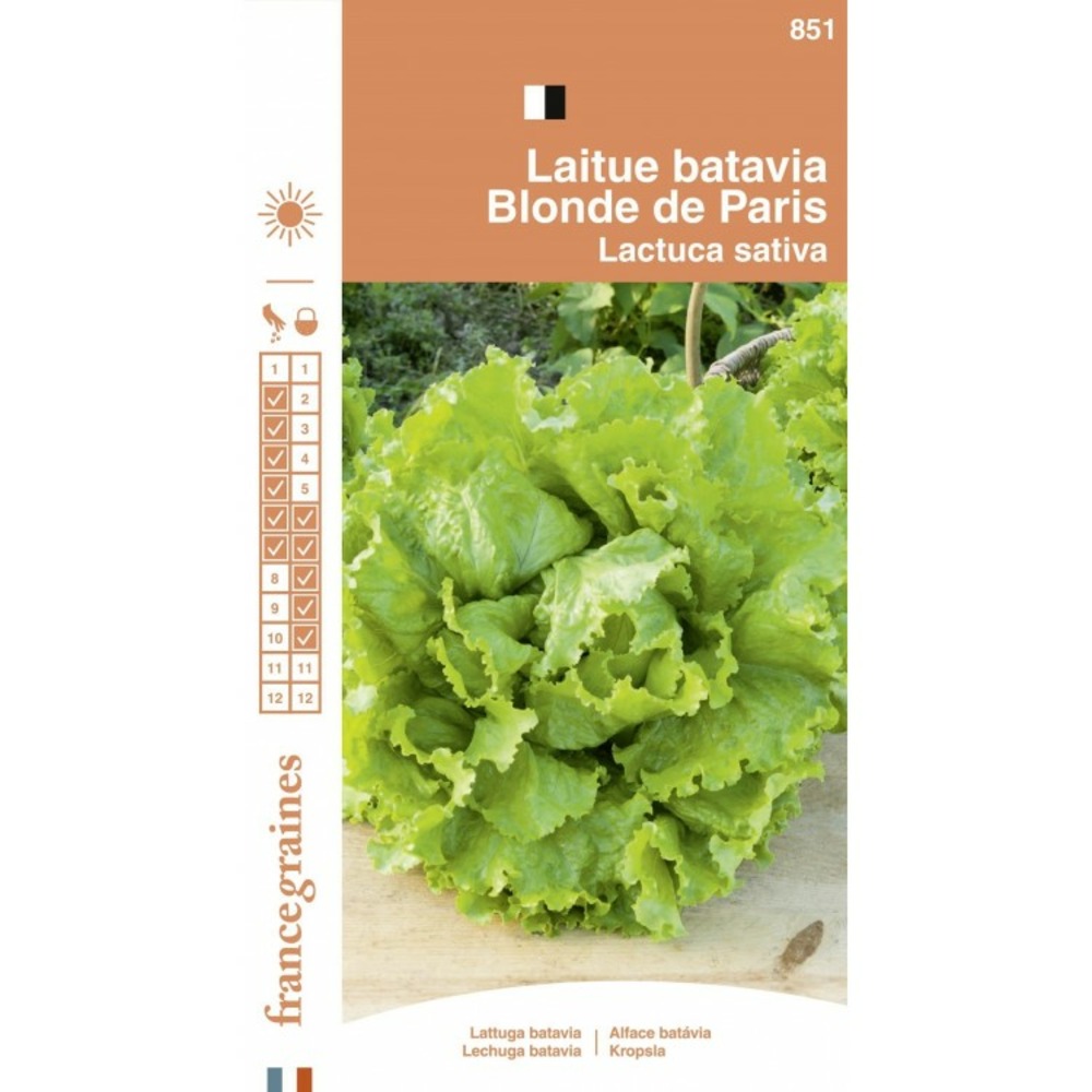 Découvrez la Batavia Blonde de Paris pour une salade croquante