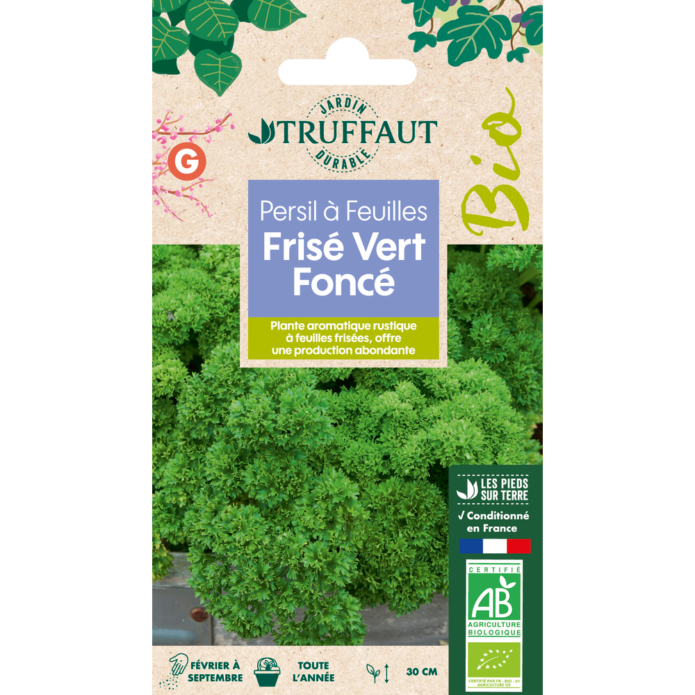 Tout Savoir Sur Le Persil Fris Vert Fonc Culture Et Utilisation