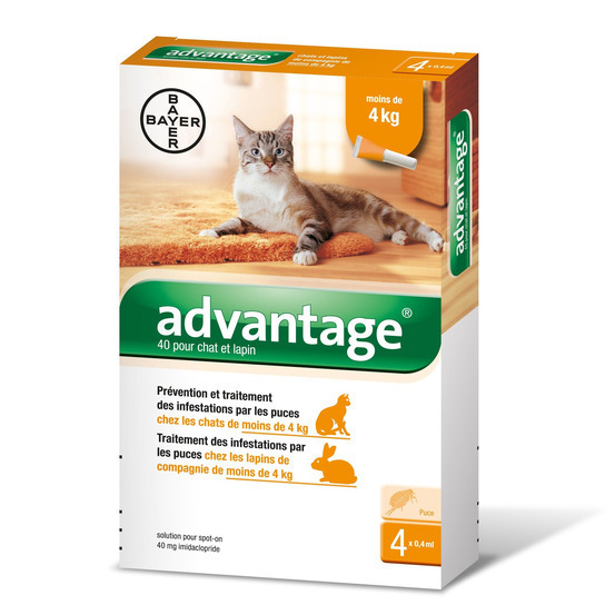 Antiparasitaire Pour Chat Lapin De Moins De 4 Kilos 4 Pipettes Truffaut