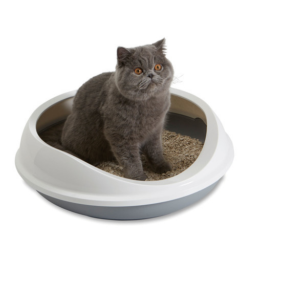 Litiere Ovale Pour Chat Figaro L55xl48 5xh15 5 Cm Truffaut