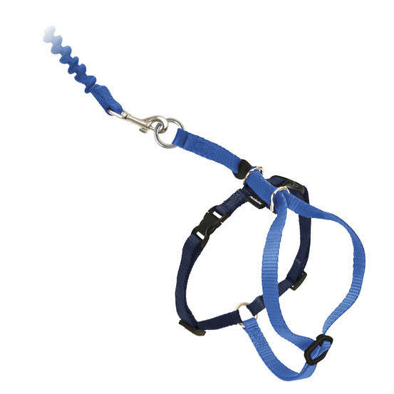 Harnais Et Laisse Easy Walk Pour Chat Taille S Bleu Truffaut