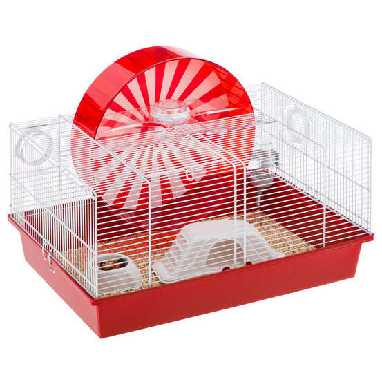 Cage Coney Island Pour Hamster Et Souris Longueur 50 Cm Truffaut