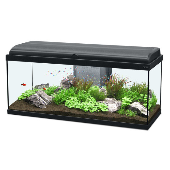 Aquarium Aquadream Led Poisson D Eau Douce Noir 135 Litres Truffaut