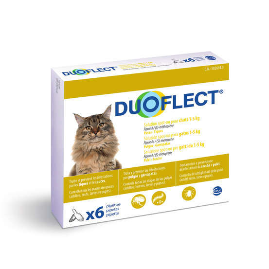 Traitement Infestations Puces Tiques Pour Chat 1 5kg 6 Pipettes Truffaut