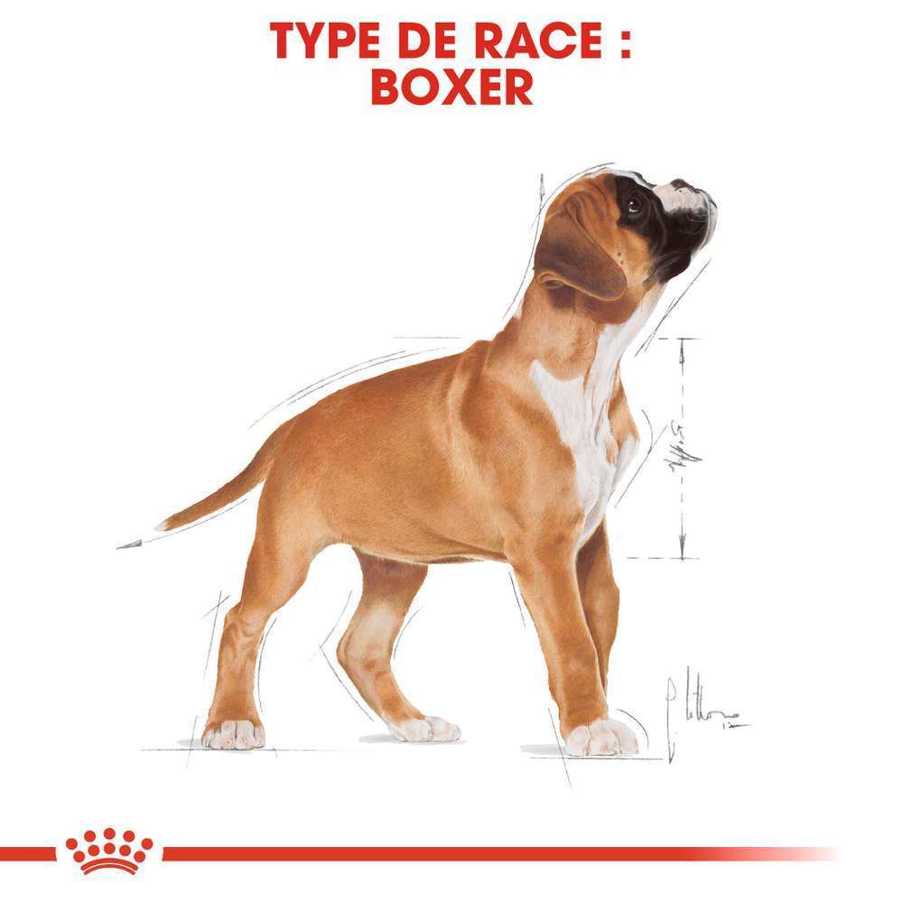 Croquette Chiot Puppy Boxer 12kg Truffaut