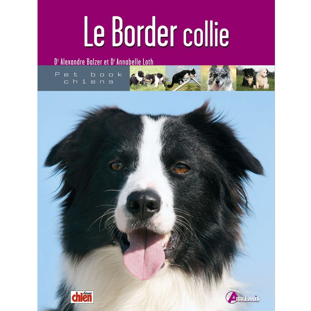 Livre Animalerie Border Collie Truffaut