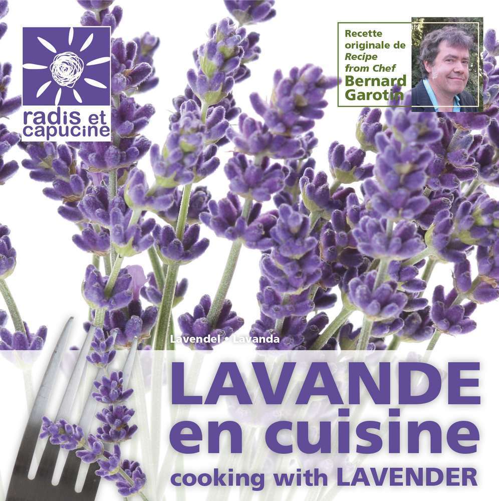 Graines Lavande Fleur Comestible Truffaut