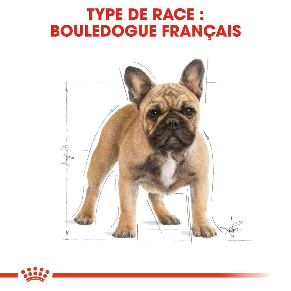 Croquette Chien French Bulldog Adult 3kg Truffaut