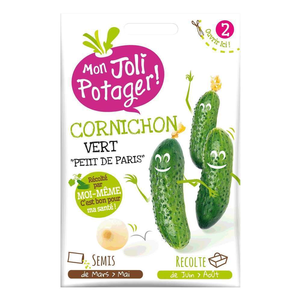 Cornichon plantation, culture et récolte Truffaut