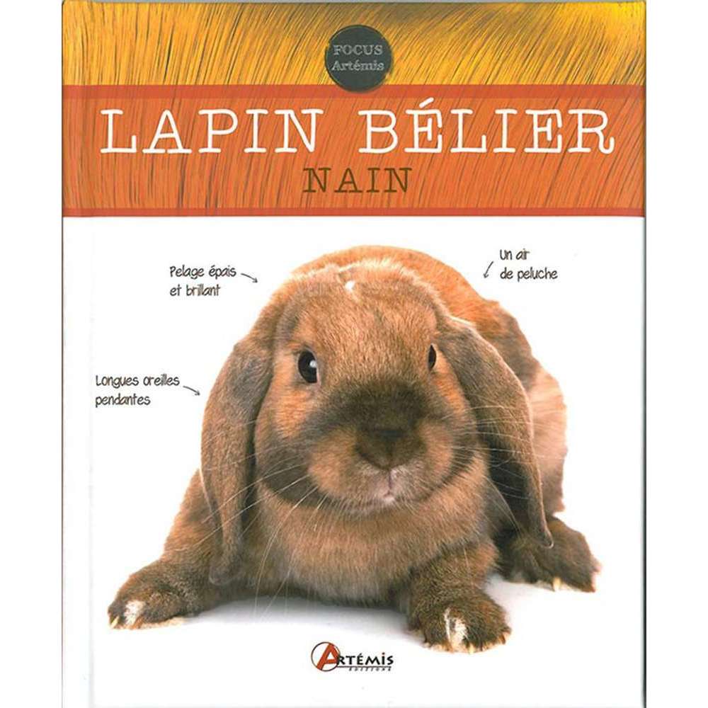 peluche pour lapin nain