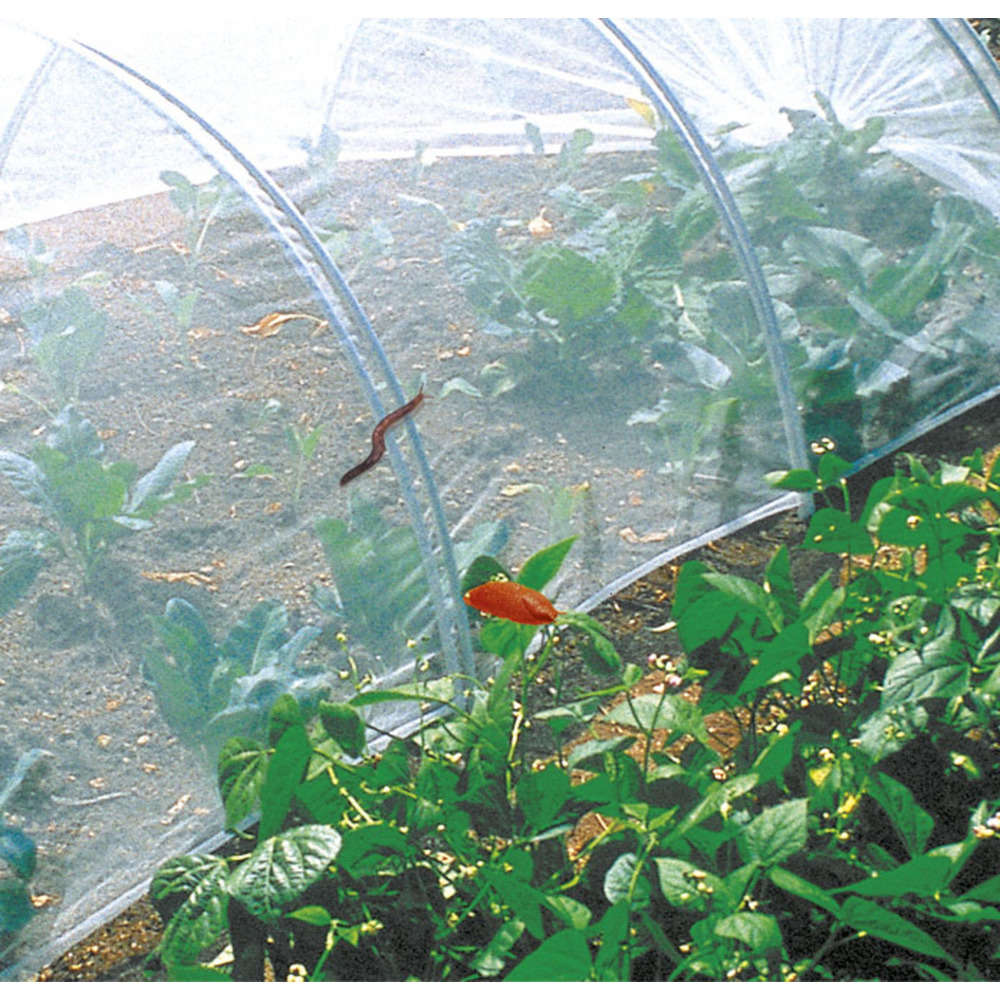 Filet Anti Insectes Bio Control Transparent 2 x5m Truffaut
