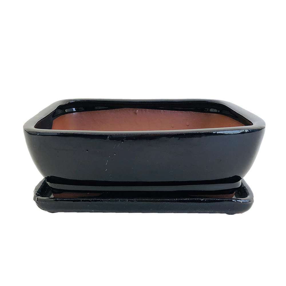 Poterie Bonsai Soucoupe En Terre Cuite Emaillee L 21 X L 16 Cm Truffaut