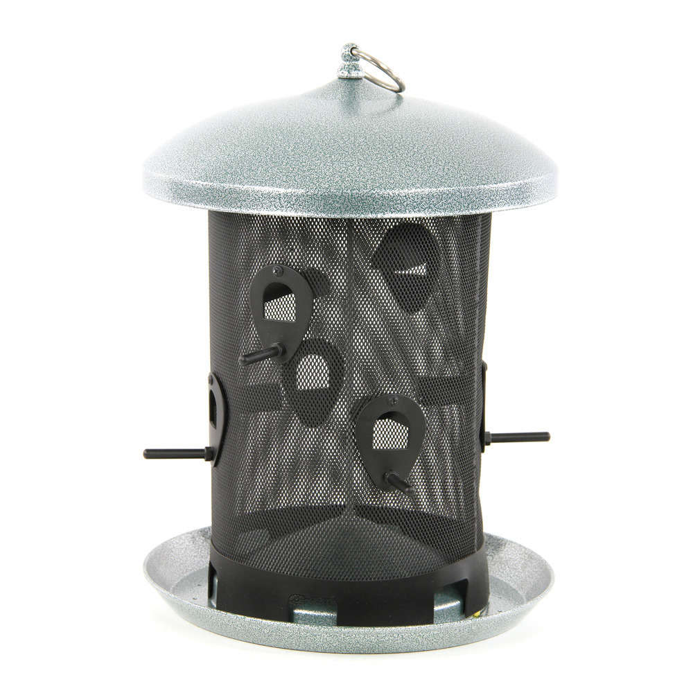 Mangeoire à Oiseaux Suspendue, Distributeur De Nourriture Pour Balcon Acheter à Prix Bas - Livraison Gratuite, Avis Réels Avec Des Photos