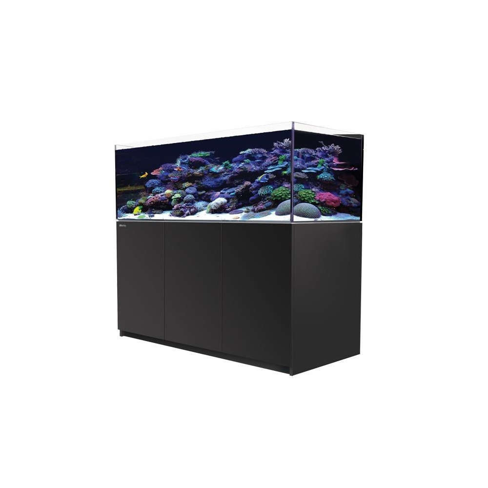 830+ Aquarium Design Eau De Mer HD Terbaik