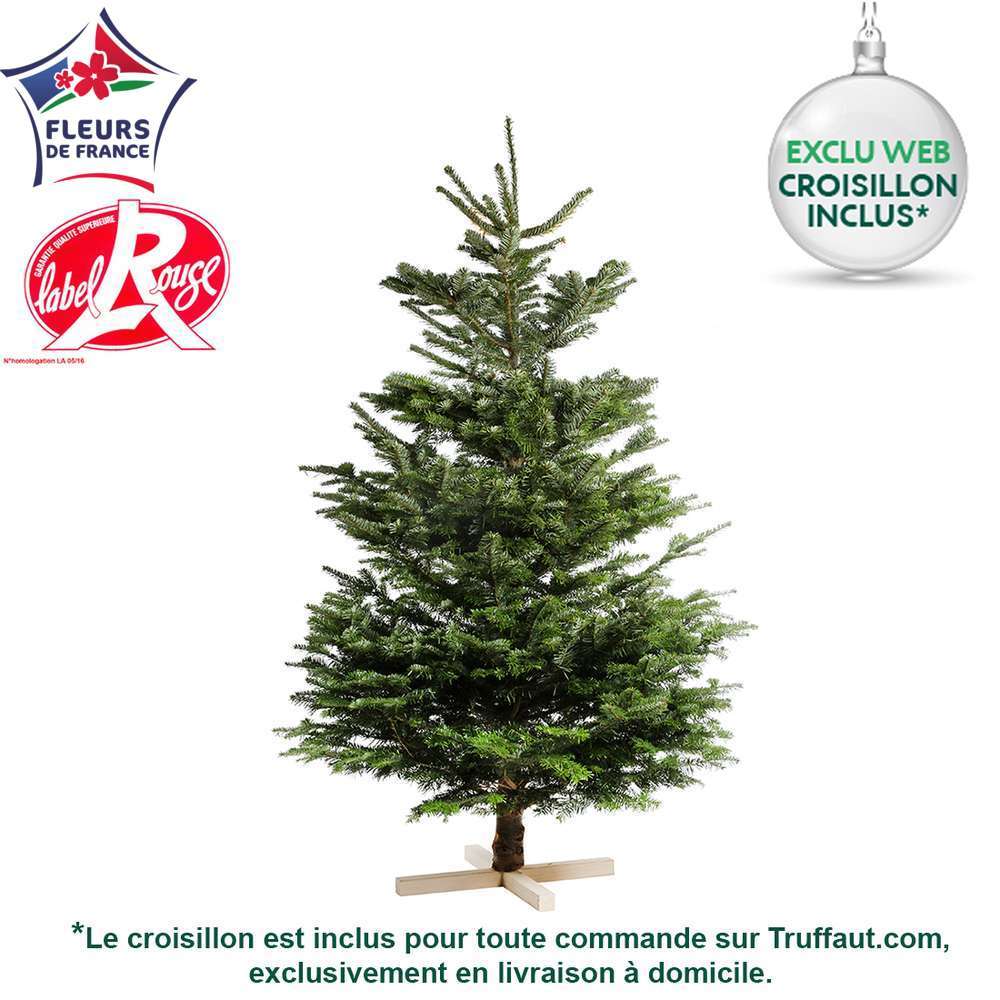 Sapin de Noël : Nordmann naturel  Truffaut