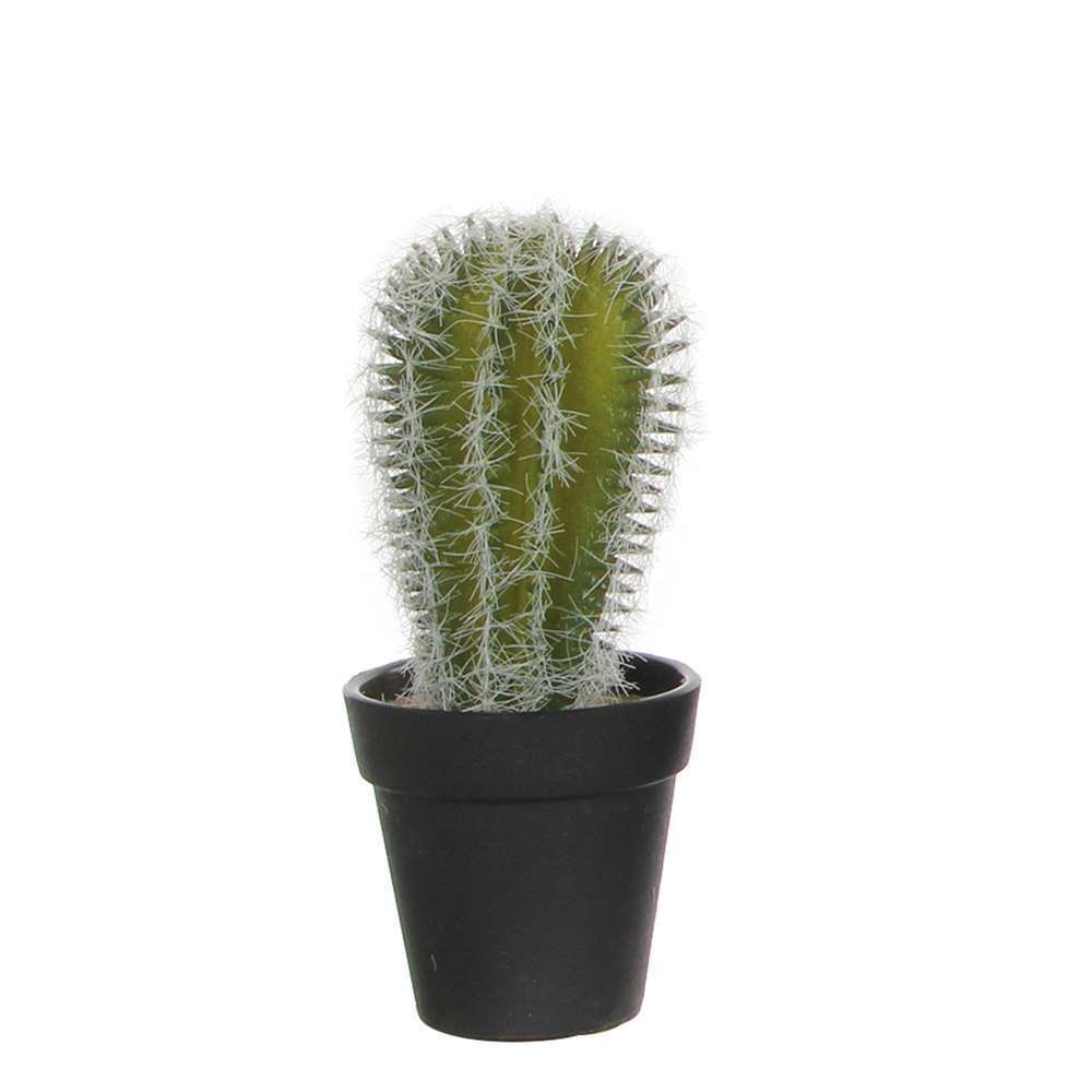 Cactus vert artificiel D12 x H.18 cm Truffaut