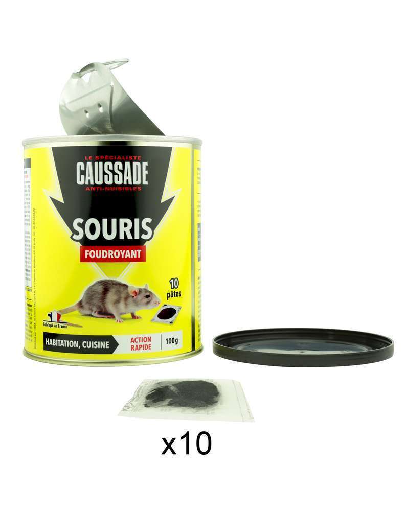 Souricide Foudroyant Pat Appat 10x10g Truffaut