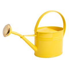 Arrosoir GUILLOUARD 13 L En Acier Galvanisé Avec Pomme Laiton - Robustesse, Grand Volume, Jardinage Professionnel