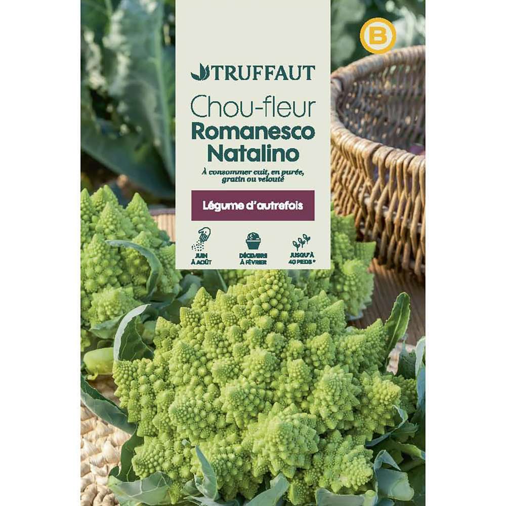 Graines De Chou Fleur Romanesco En Sachet Truffaut