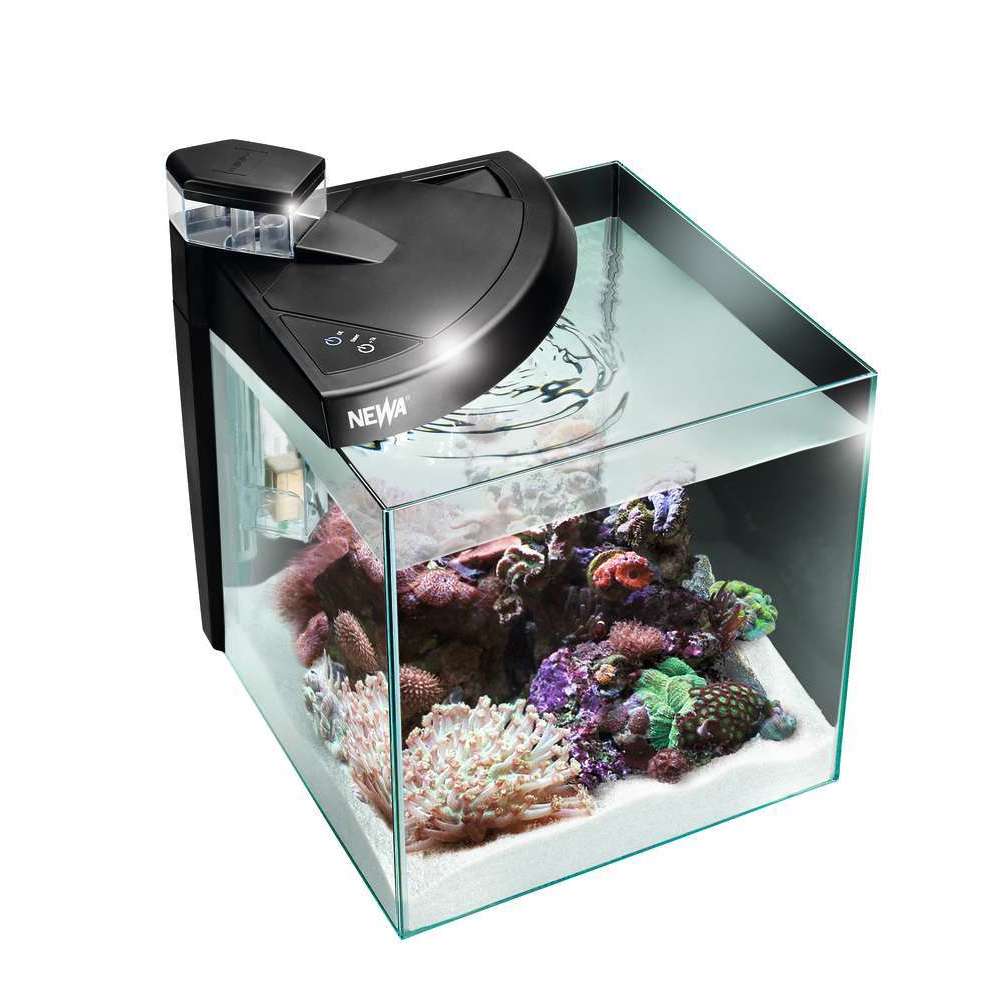Aquarium Newa More Poisson D Eau De Mer Noir 50 Litres Truffaut