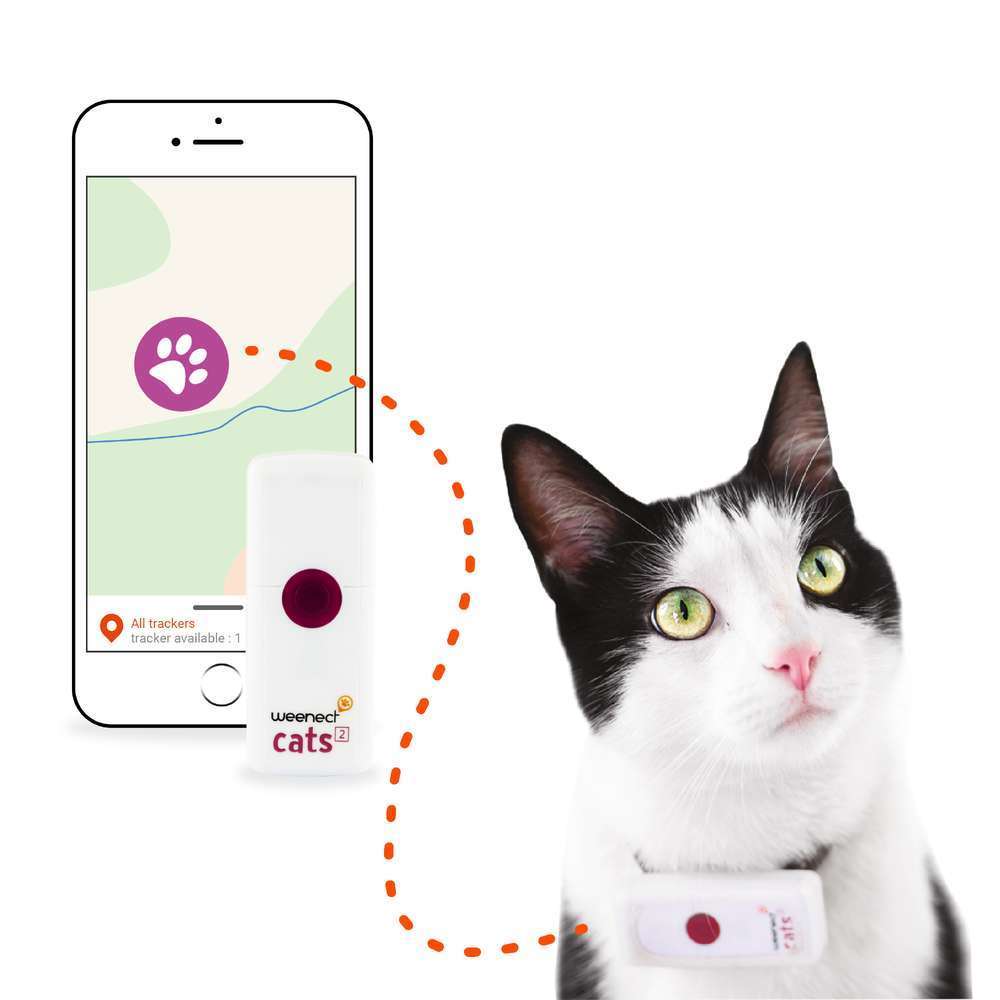 Weenect Cats 2 Traceur Gps Pour Chat Truffaut