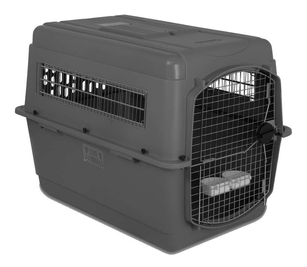 Caisse De Transport Chien Sky Kennel S Truffaut