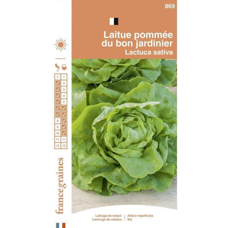 France Graines Laitue Pomm/ée Bon Jardinnier