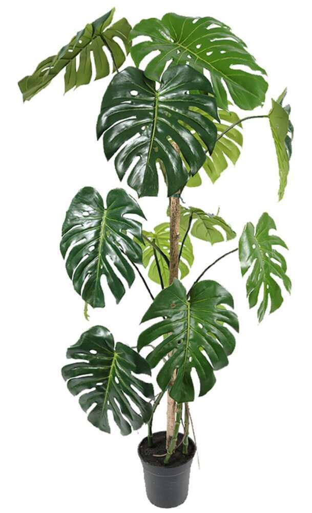 Fausse Plante Monstera – 70cm
