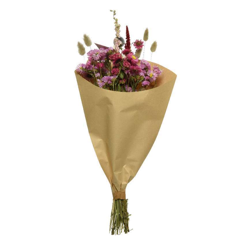 Bouquet De Fleurs Sechees 3 Beaux Types Differents Truffaut