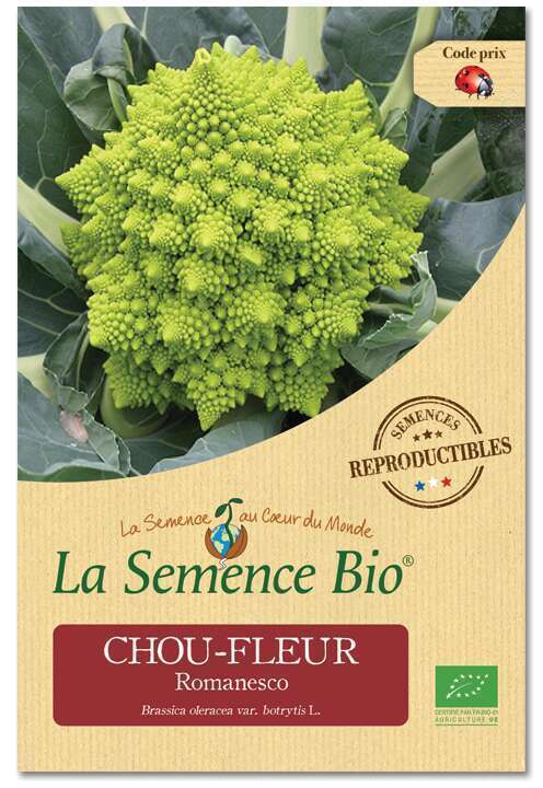 Graines Potageres Chou Fleur Romanesco Bio 0 1g Truffaut