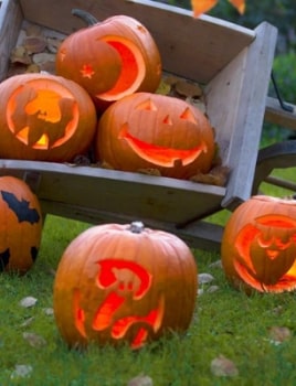 Creuser une citrouille pour Halloween