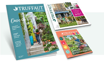 Catalogues & magazines