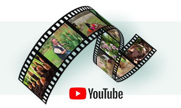 Conseils en vidéos