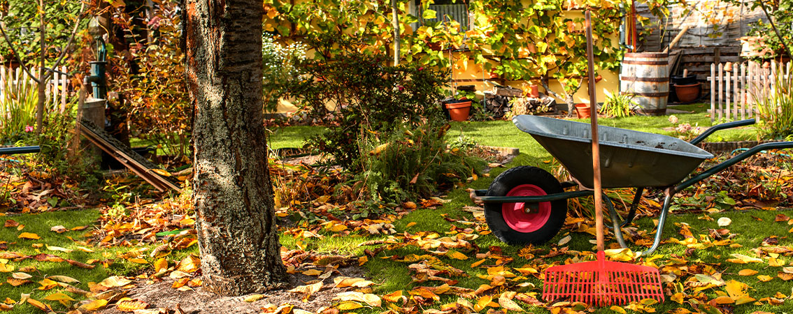 Entretien d'automne