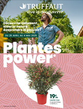 Plante power