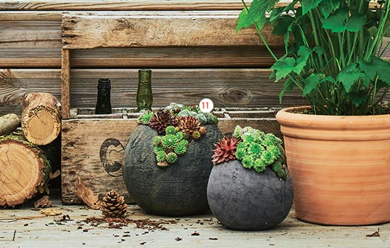 Boule sempervivum - Petit modèle (873380) - Grand modèle (873381) Boule sempervivum - Petit modèle (873380) - Grand modèle (873381)