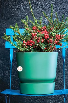 Pot greenville “Elho” Coloris vert sombre. Pot greenville “Elho” Coloris vert sombre.