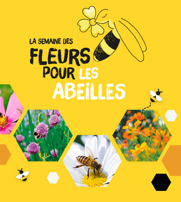Luttez contre le gaspillage avec nos paniers d’invendus !
