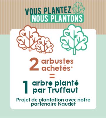 2 arbres achetés = 1 arbre planté