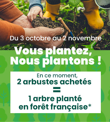2 arbres achetés = 1 arbre planté