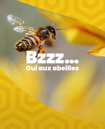 Oui aux abeilles : fleurir pour agir !