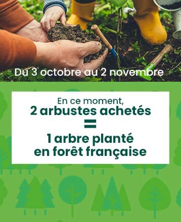 Contribuez à la plantation d’arbres pour la biodiversité