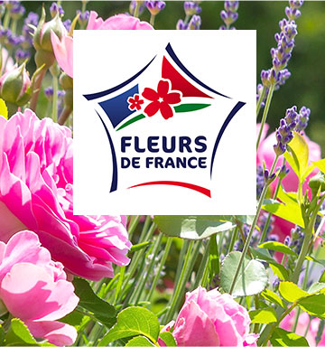 Fleurs de France : made in France végétal