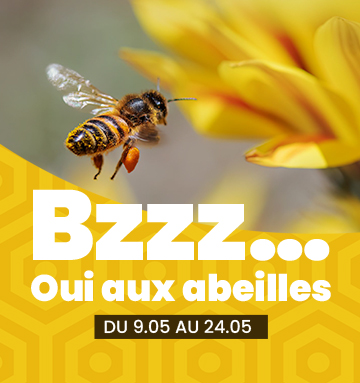 Les bienfaits des abeilles
