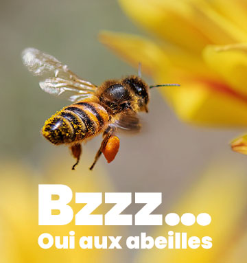 Luttez contre le gaspillage avec nos paniers d'invendus !