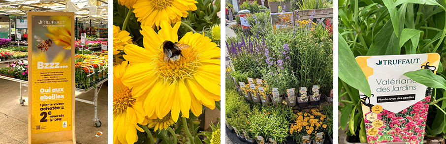 Luttez contre le gaspillage avec nos paniers d'invendus !