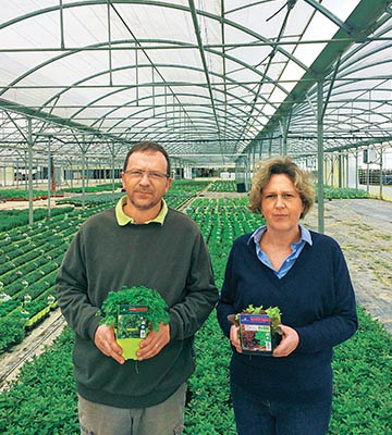 Choix de fournisseurs locaux