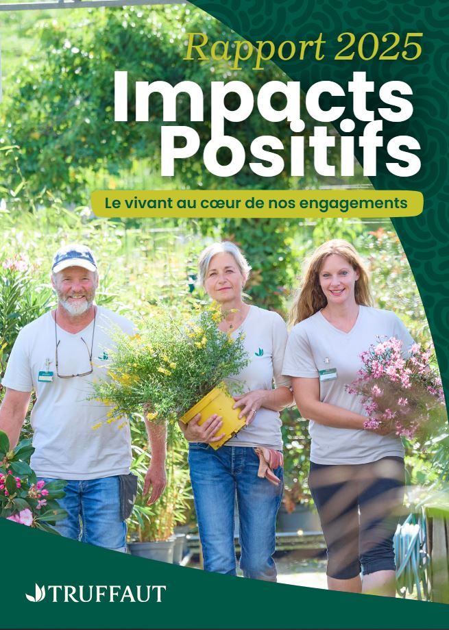Rapport Impacts Positifs 2025