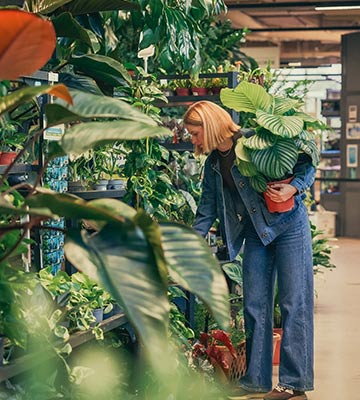 Une offre de qualité pour nos clients